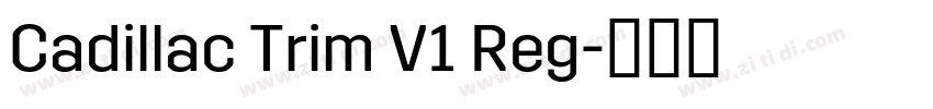 Cadillac Trim V1 Reg字体转换
